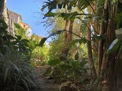 183 D23 BORMES LES MIMOSAS 1_000017